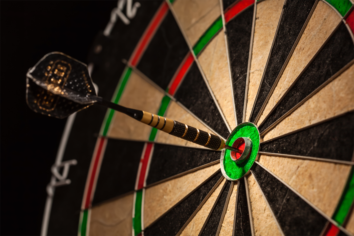 The Educational Dartboard - The Learner First